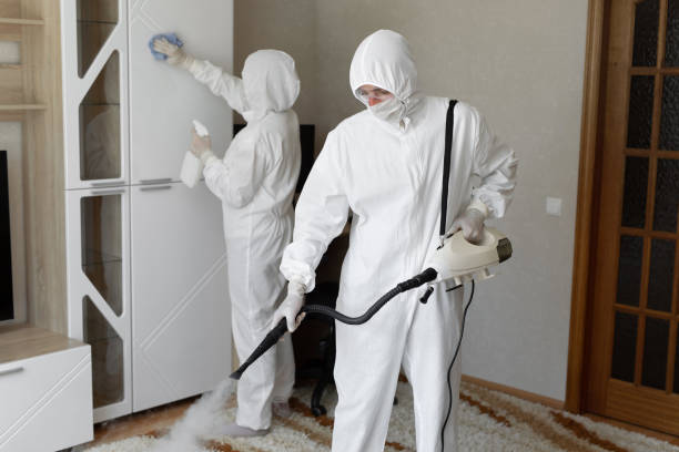 Best Post-Flood Mold Remediation in Polo, IL